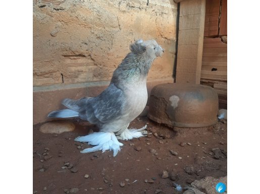 KALİTELİ KOSTÜM ARAYANLARA 