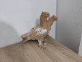 İlk gelen alır 
