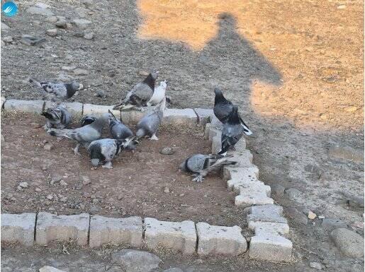 Açıklamayı okuyun 