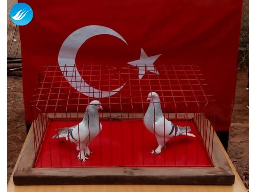 SABUNİ TAKIM (TOPLU SATIŞ)