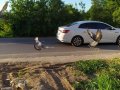 Kocaeli Başiskele 